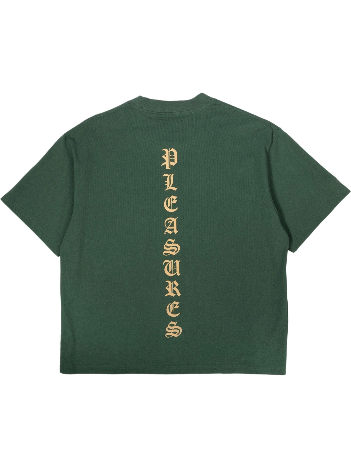Imagem de: Camiseta PLEASURES Sorrow Heavyweight Verde