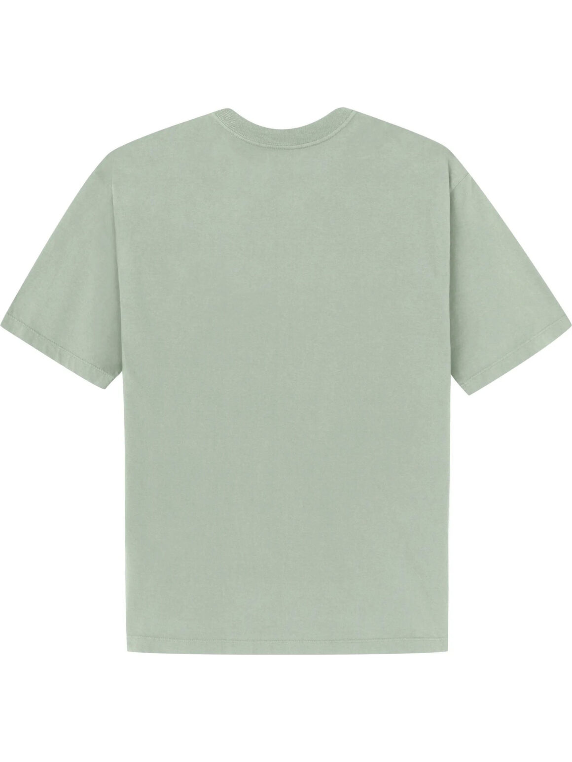 Imagem de: Camiseta High Company Wings Verde Claro