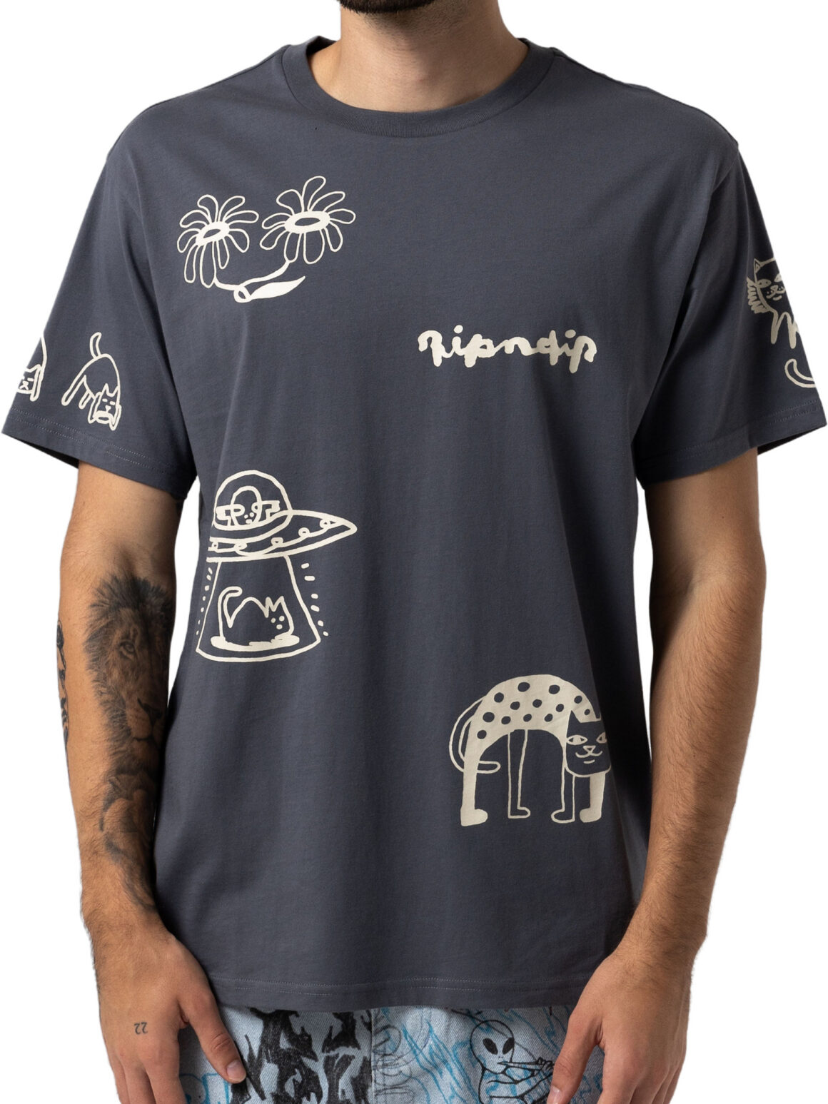 Imagem de: Camiseta RIPNDIP Blonded Cinza Chumbo