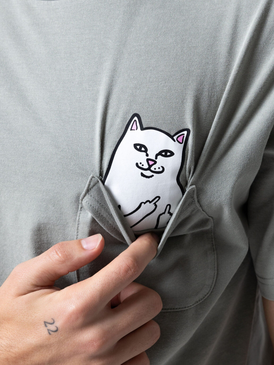 Imagem de: Camiseta RIPNDIP Lord Nermal Pocket Verde Sálvia