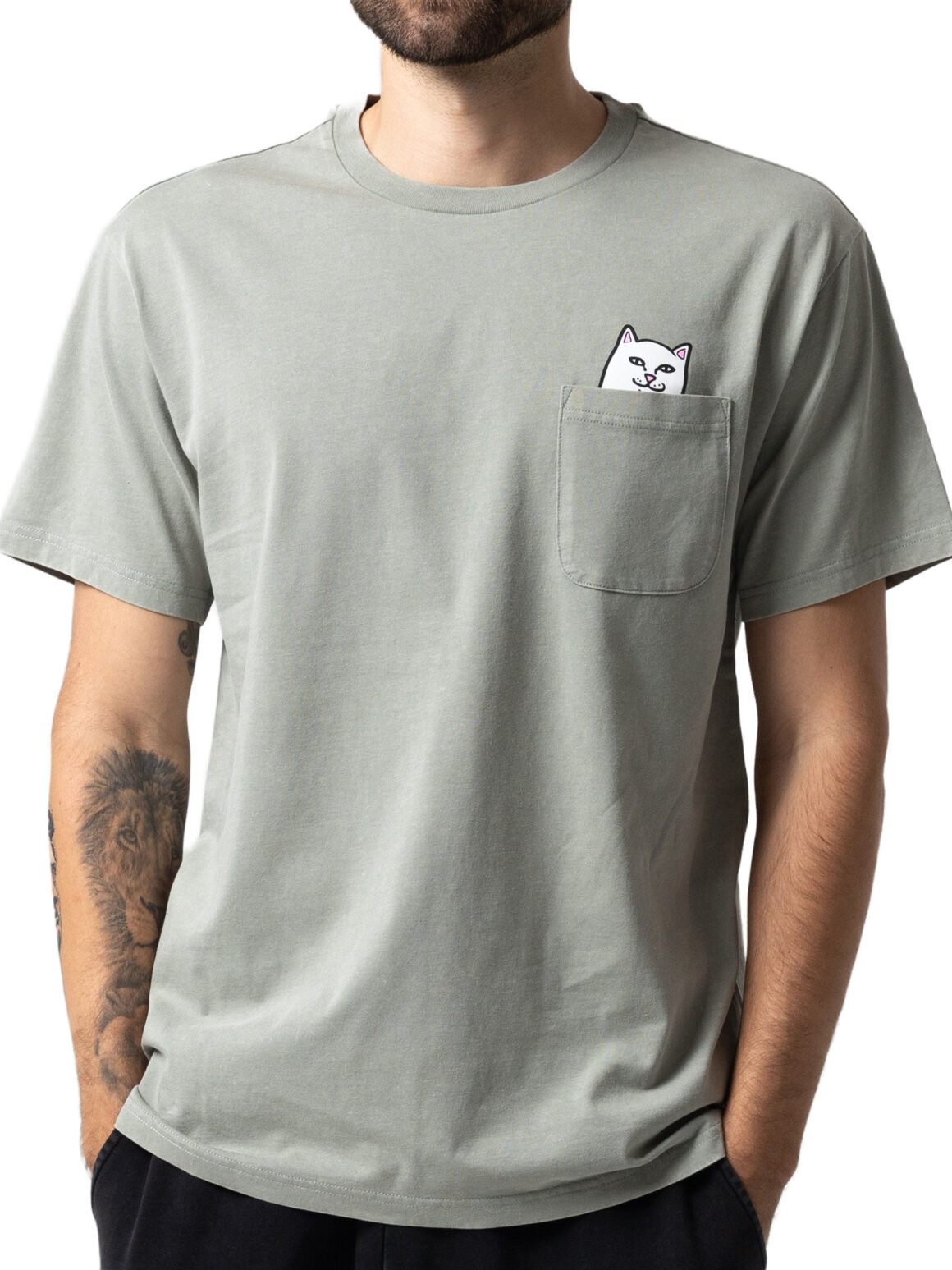 Imagem de: Camiseta RIPNDIP Lord Nermal Pocket Verde Sálvia