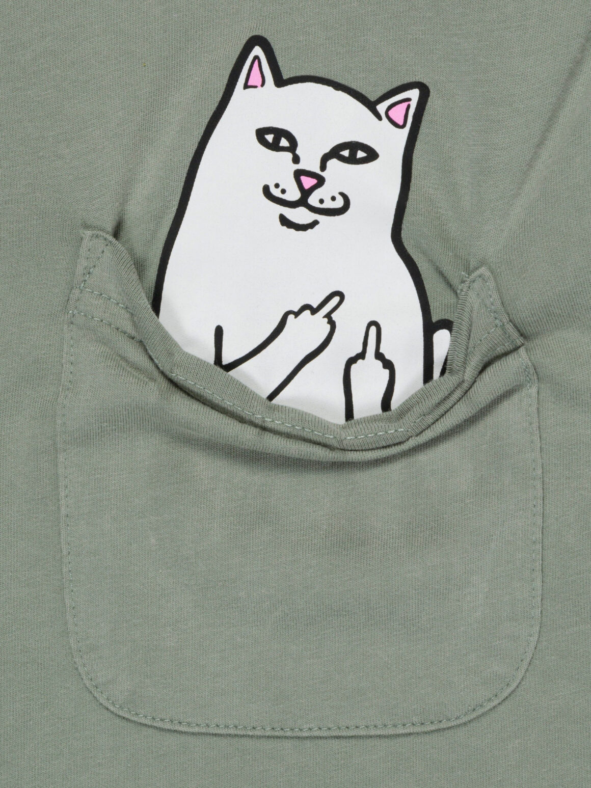 Imagem de: Camiseta RIPNDIP Lord Nermal Pocket Verde Sálvia