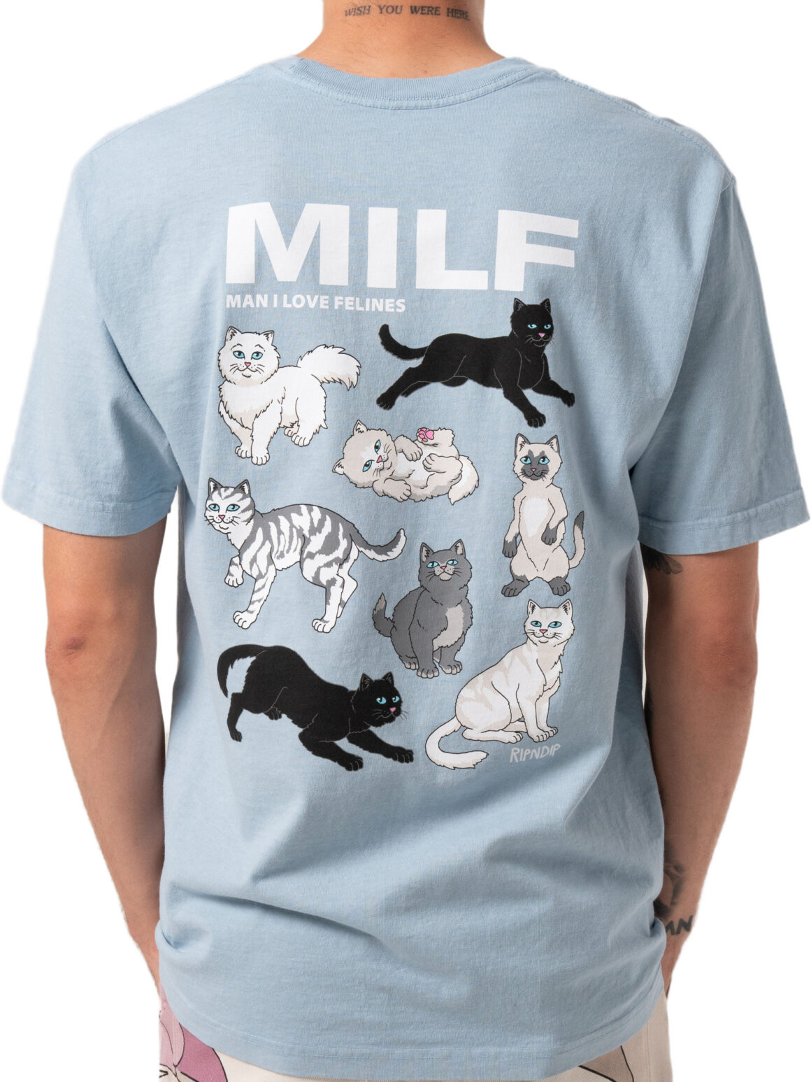 Imagem de: Camiseta RIPNDIP Man I Love Felines Azul Claro