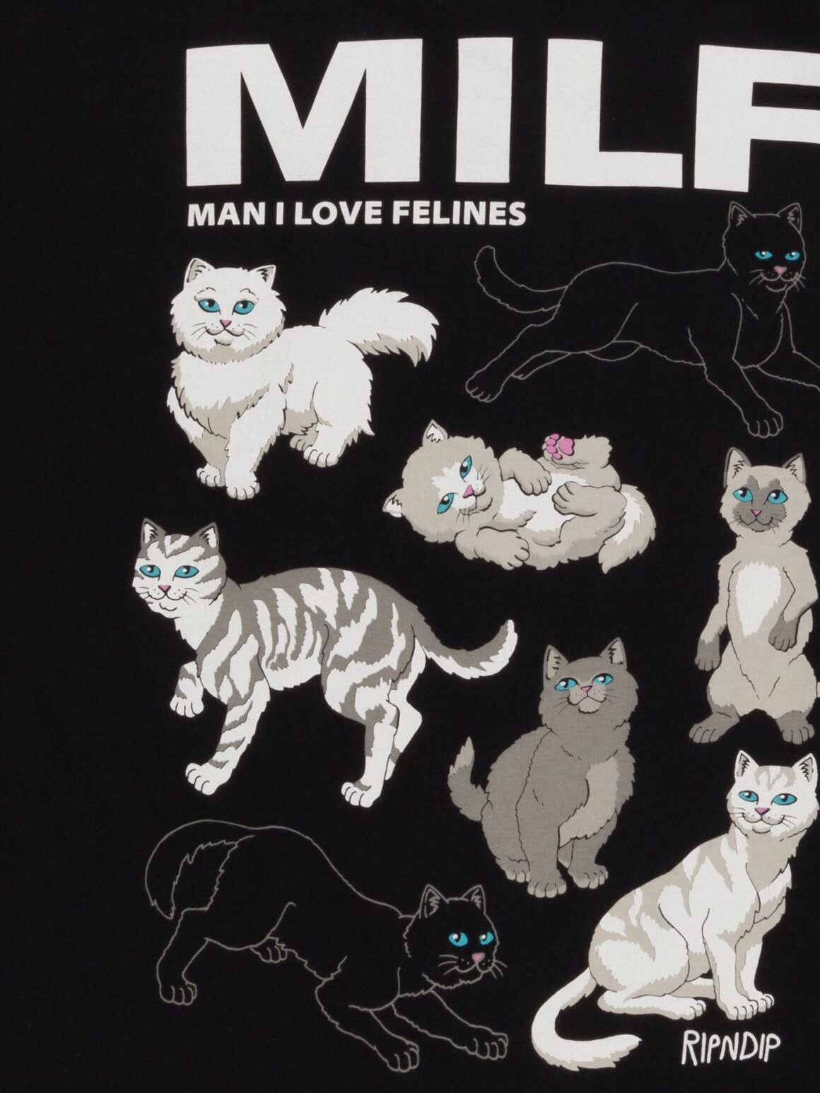 Imagem de: Camiseta RIPNDIP Man I Love Felines Preta