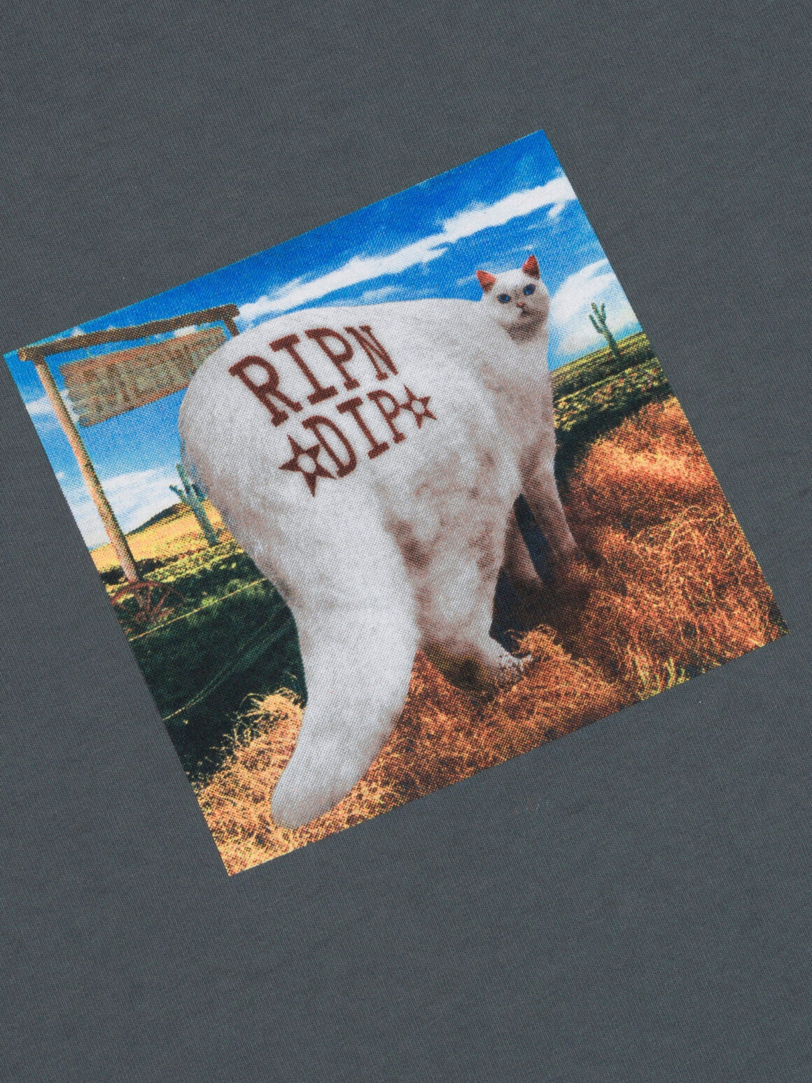 Imagem de: Camiseta Ripndip Rowdy Howdy Cinza Chumbo
