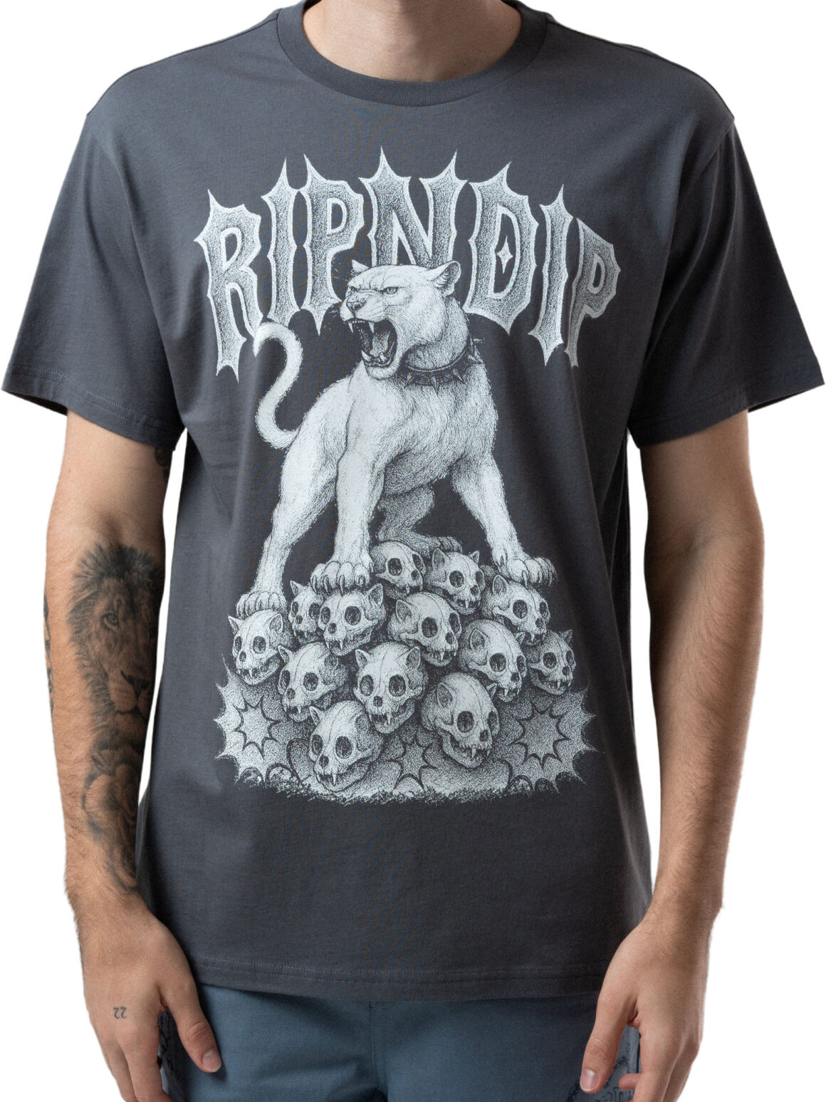 Imagem de: Camiseta Ripndip Wasteland Chumbo