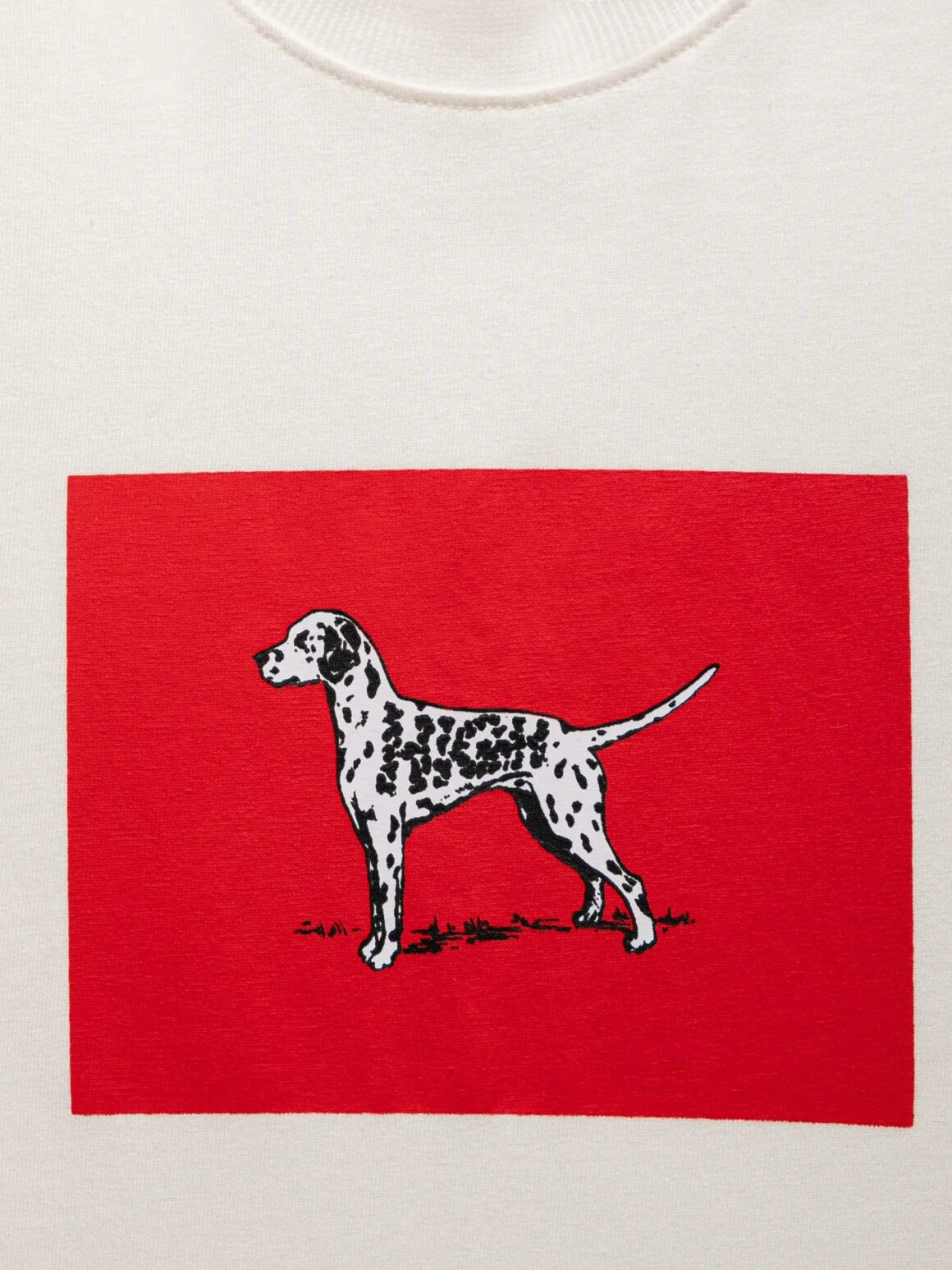 Imagem de: Camiseta HIGH Company Tee Dalmatian Branco
