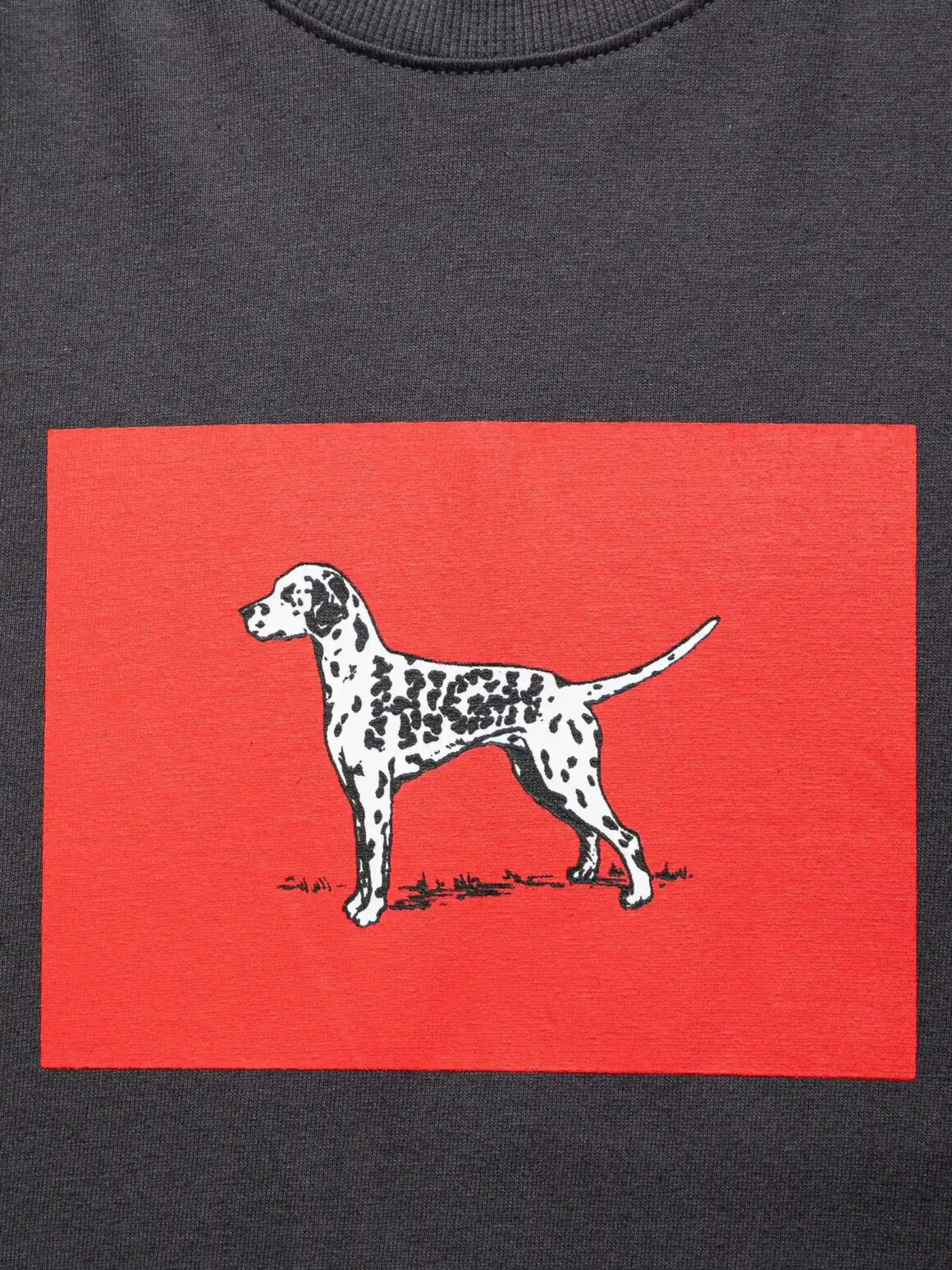Imagem de: Camiseta HIGH Company Tee Dalmatian Cinza