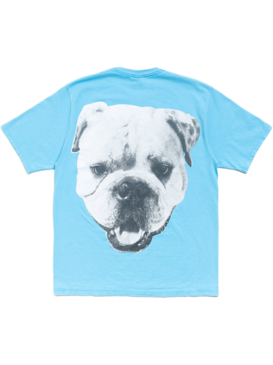 Imagem de: Camiseta Stüssy Big Dog Stone Washed Azul Céu