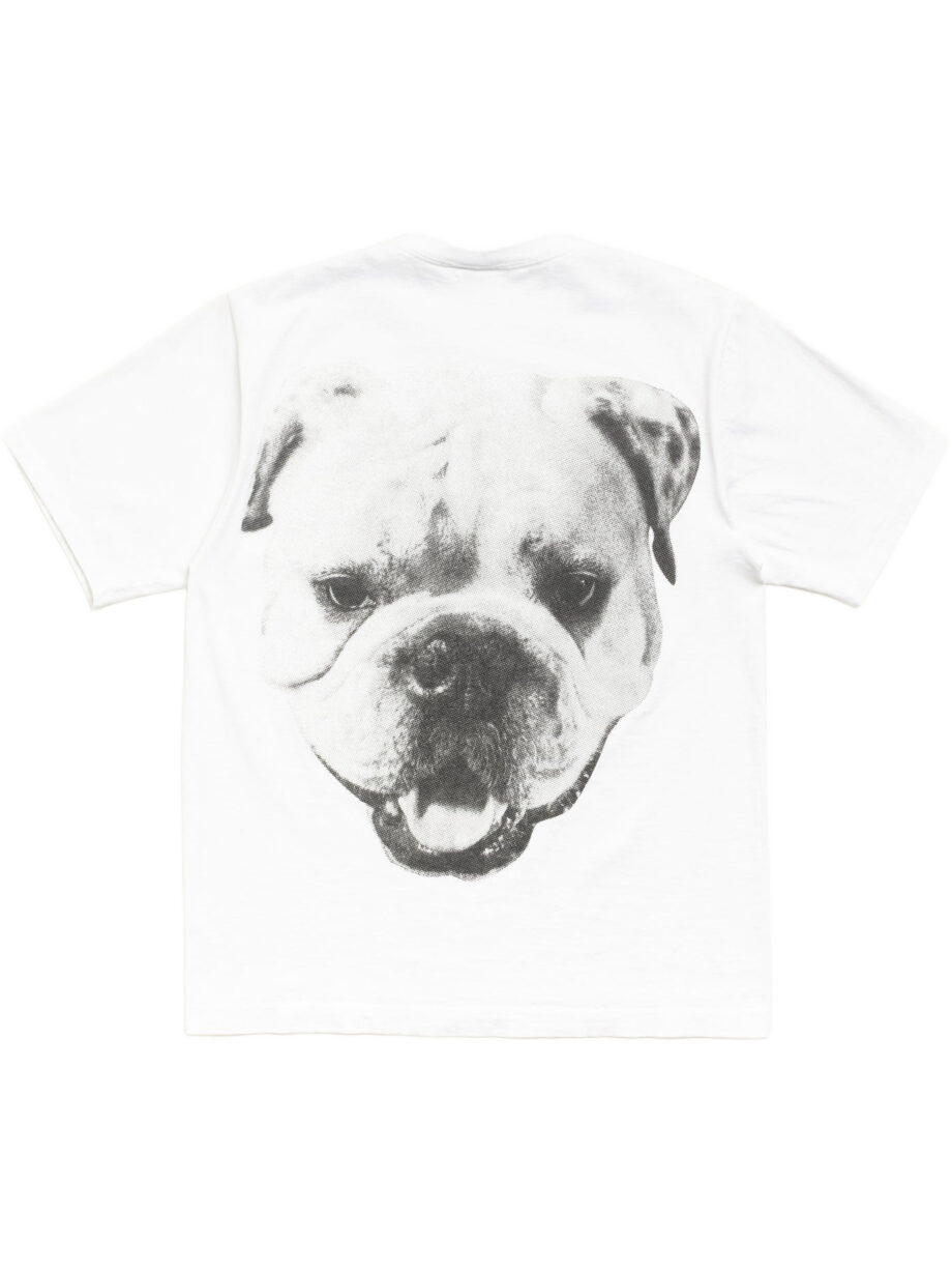 Imagem de: Camiseta Stüssy Big Dog Stone Washed Branca