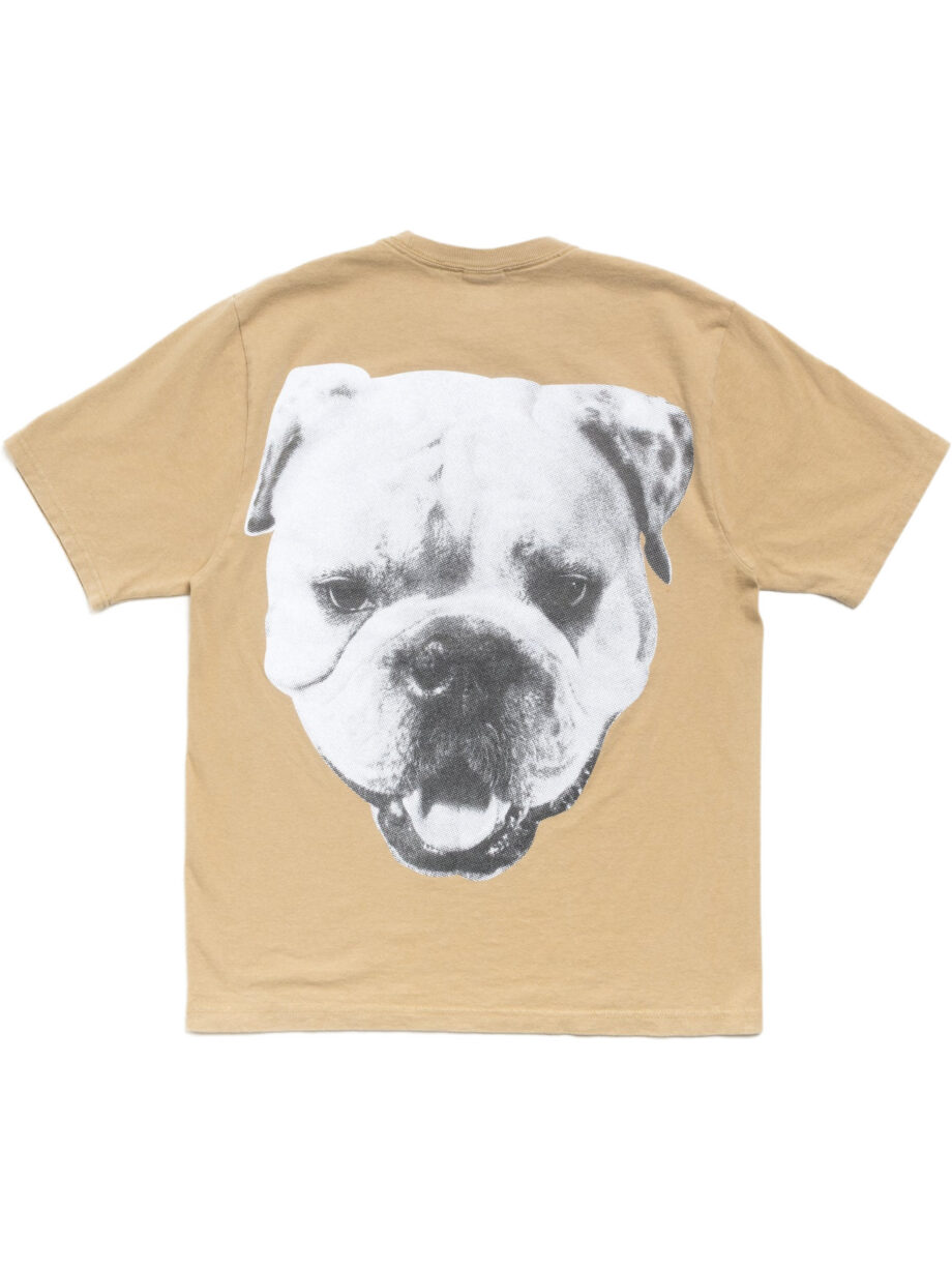 Imagem de: Camiseta Stüssy Big Dog Stone Washed Caqui